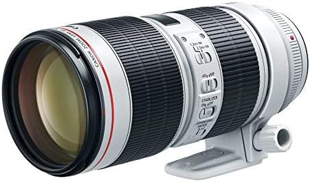  Canon EF 70-200mm f/2.8L IS III USM Lens for Canon Digital SLR Cameras